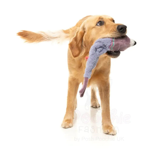 Peace out Pigeon - the Yeetz - Dog Toy by Fuzzyard - Fuzzyard - 2