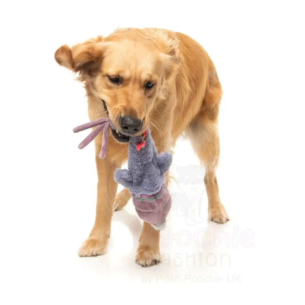 Peace out Pigeon - the Yeetz - Dog Toy by Fuzzyard - Fuzzyard - 5