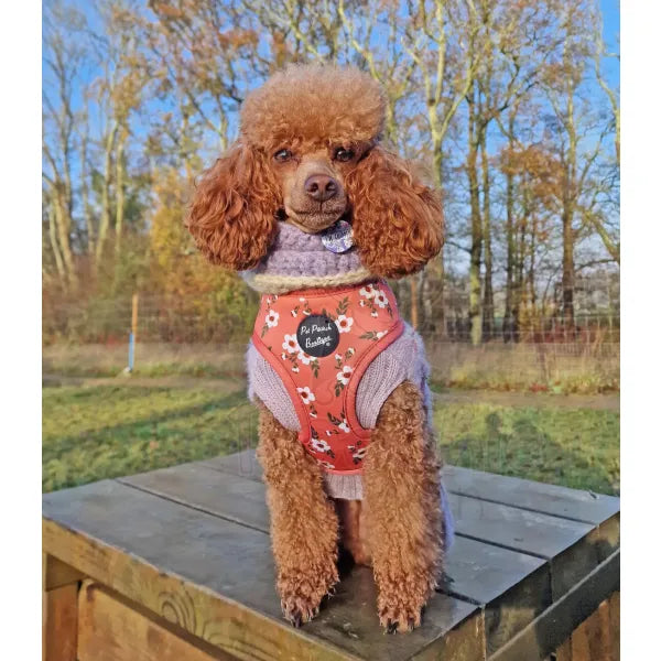 Peach Blossom Dog Harness - Pet Pooch - 2