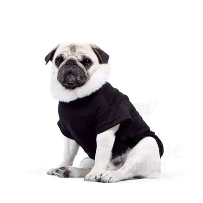 Personalised Block Name Dog T-shirt - Rich Paw - 8