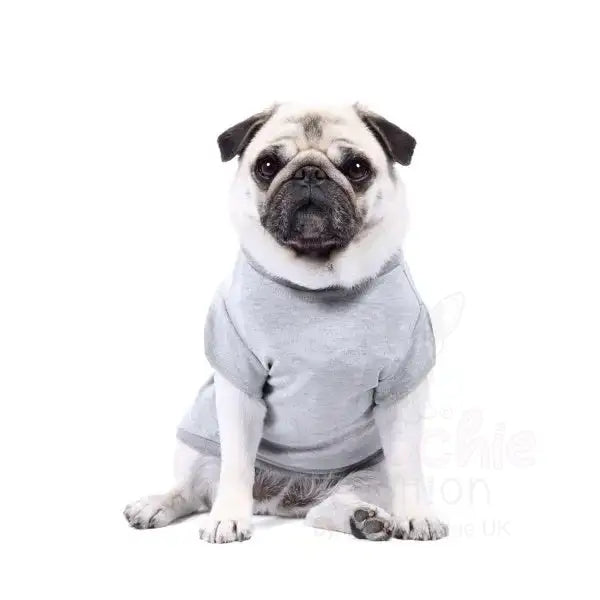 Personalised Block Name Dog T-shirt - Rich Paw - 6