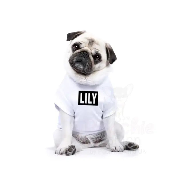 Personalised Block Name Dog T-shirt - Rich Paw - 4