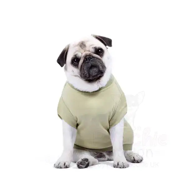 Personalised Block Name Dog T-shirt - Rich Paw - 7