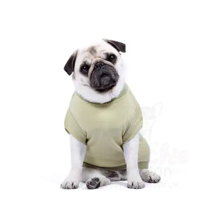 Personalised Block Name Dog T-shirt - Rich Paw - 7