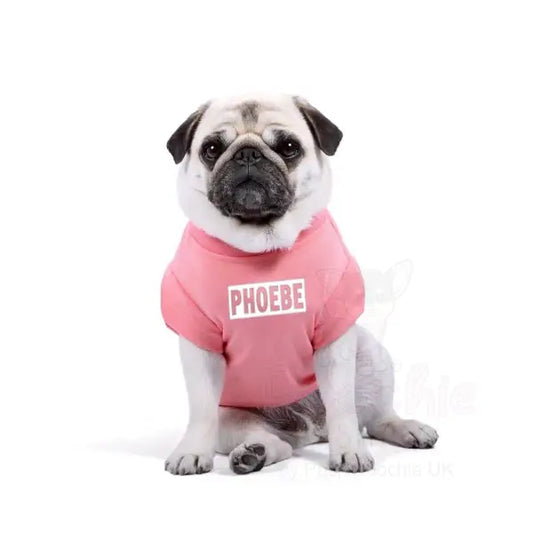 Personalised Block Name Dog T-shirt - Rich Paw - 2