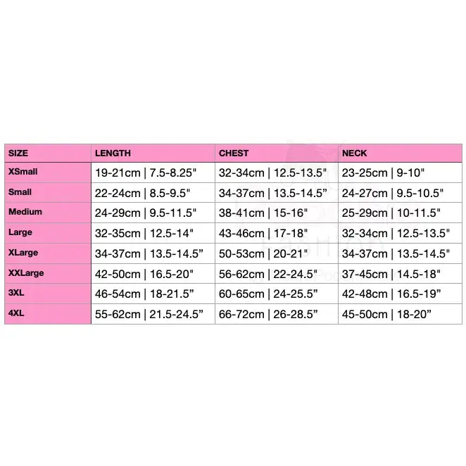 Personalised Block Name Dog t Shirt - Rich Paw - 5