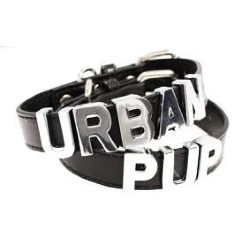 Personalised Leather Chrome Dog Collar in Black - Urban - 1