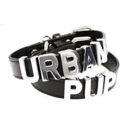 Personalised Leather Chrome Dog Collar in Black - Urban - 1