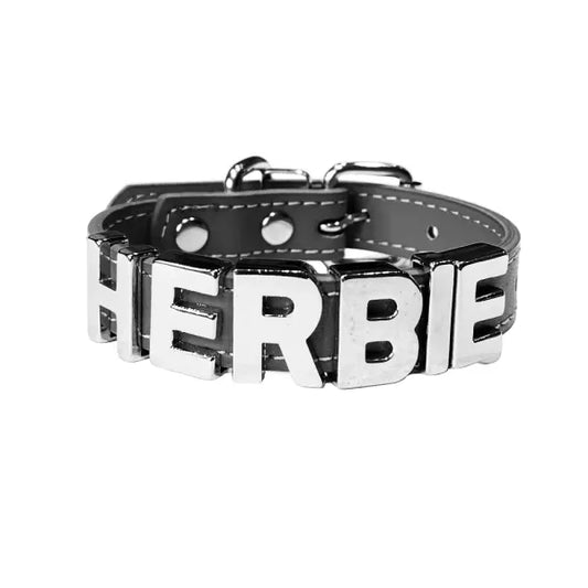 Personalised Leather Chrome Dog Collar in Black - Poochie Fashion - 1