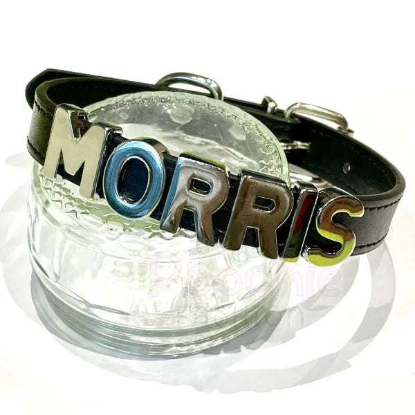 Personalised Leather Chrome Dog Collar in Black - Urban - 2