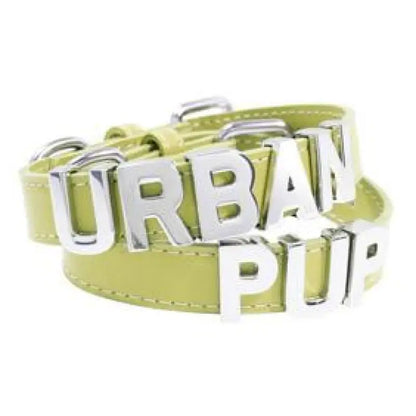 Personalised Leather Chrome Dog Collar In Primrose - Urban - 1