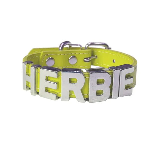 Personalised Leather Chrome Dog Collar in Primrose - Poochie Fashion - 1