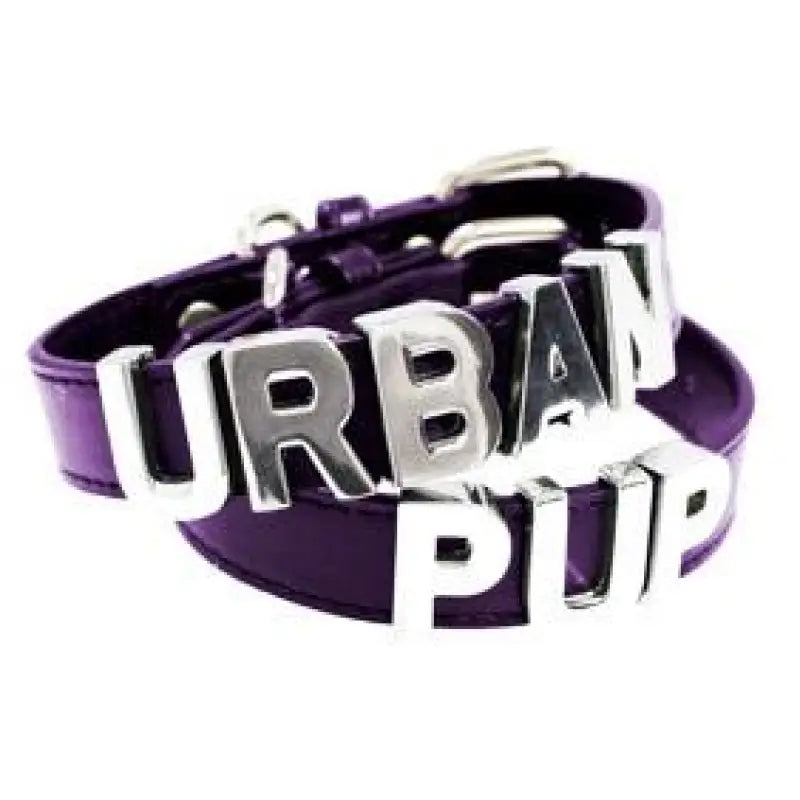 Personalised Leather Chrome Dog Collar In Purple - Urban - 1