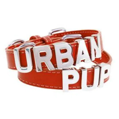 Personalised Leather Chrome Dog Collar in Red - Urban - 1