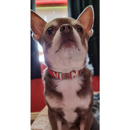 Personalised Leather Chrome Dog Collar in Red - Urban - 3