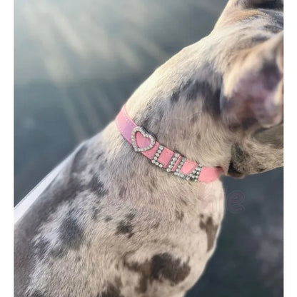 Personalised Leather Diamante Dog Collar in Baby Pink - Urban - 2
