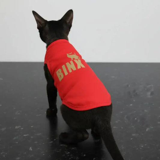 Personalised Name Cat Vest - Poochie Fashion - 1