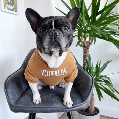 Personalised Name Dog Hoodies 12 Colours - Poochie Fashion - 6
