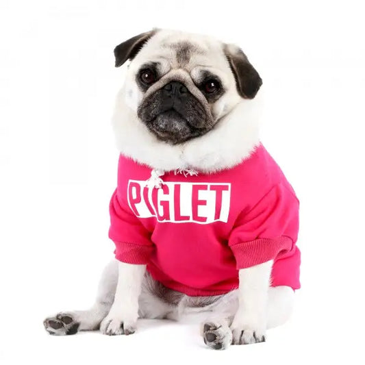 Personalised Name Dog Hoodies 12 Colours - Poochie Fashion - 2