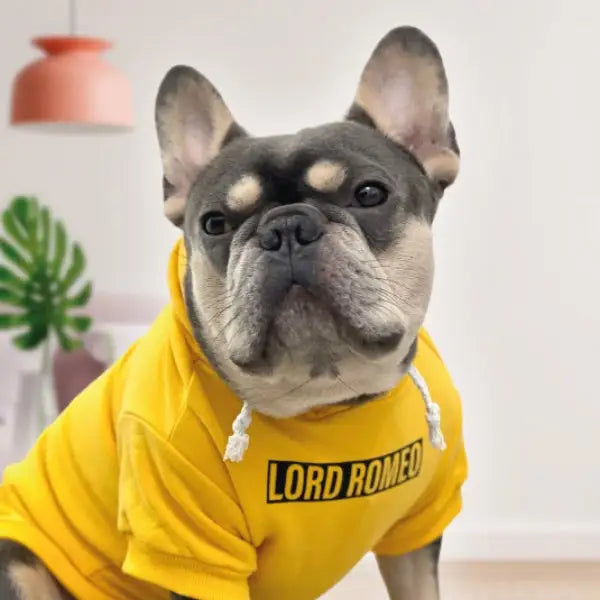 Personalised Name Dog Hoodies 12 Colours - Poochie Fashion - 11