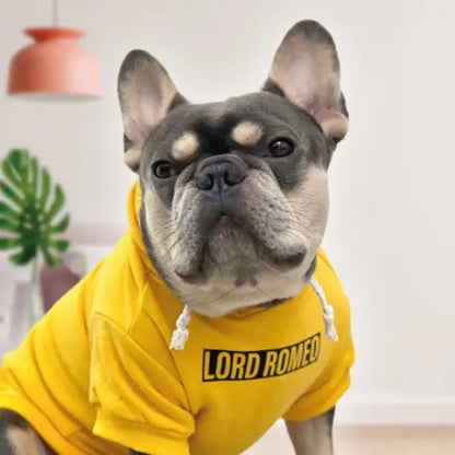 Personalised Name Dog Hoodies 12 Colours - Poochie Fashion - 11
