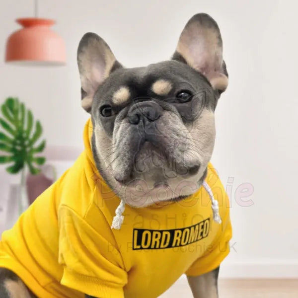 Personalised Name Dog Hoodies 12 Colours - Rich Paw - 3