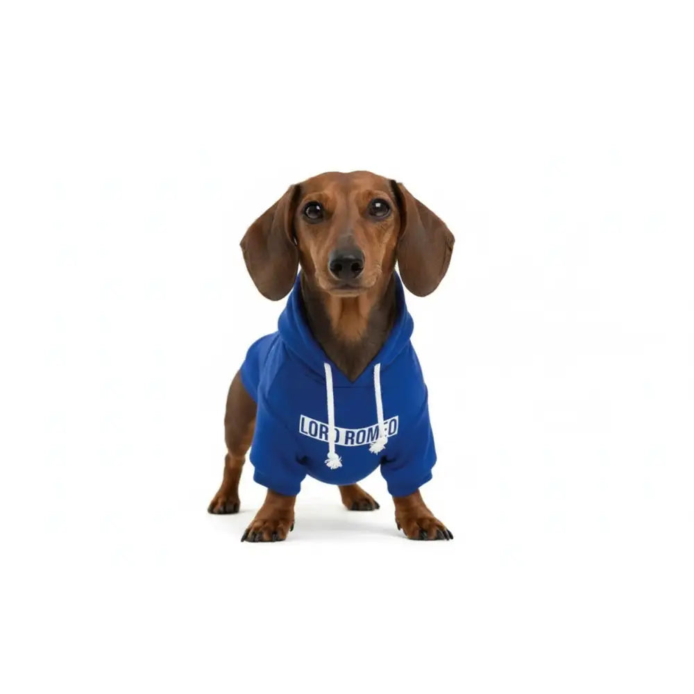 Personalised Name Dog Hoodies 12 Colours - Poochie Fashion - 1