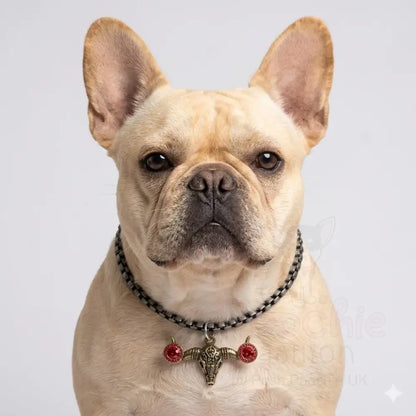 Pewter Box Chain Dog Necklace with Bull Skull Pendant - Red Crystals - Posh Pawz - 2