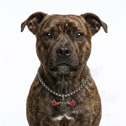 Pewter Box Chain Dog Necklace with Bull Skull Pendant - Red Crystals - Posh Pawz - 3