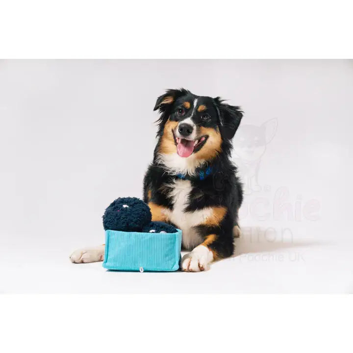 Picked Fresh Blue Beg-rries Dog Toy by P.l.a.y - P.l.a.y - 6