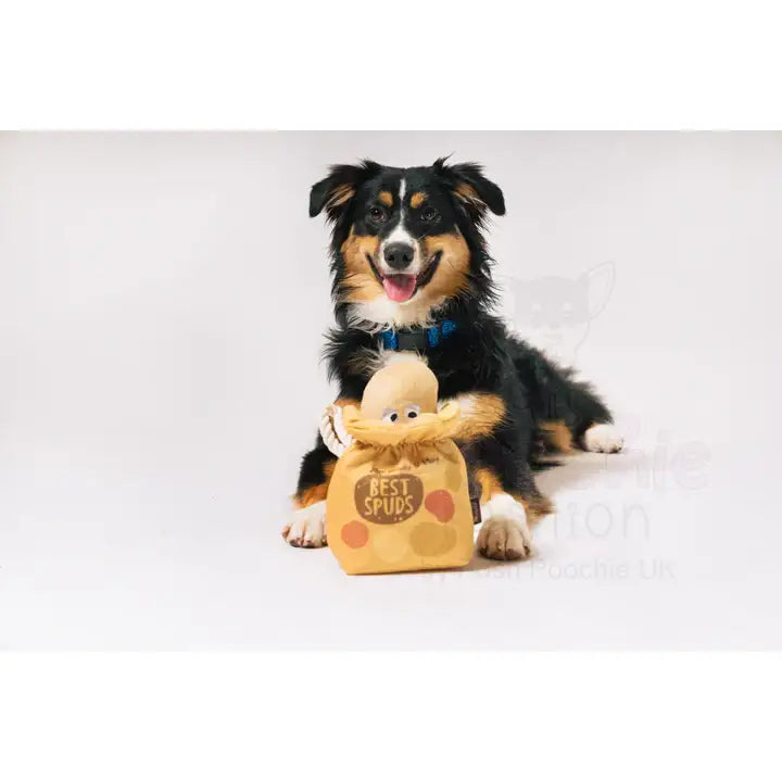 Picked Fresh Potato Pals Dog Toy by P.l.a.y - P.l.a.y - 3