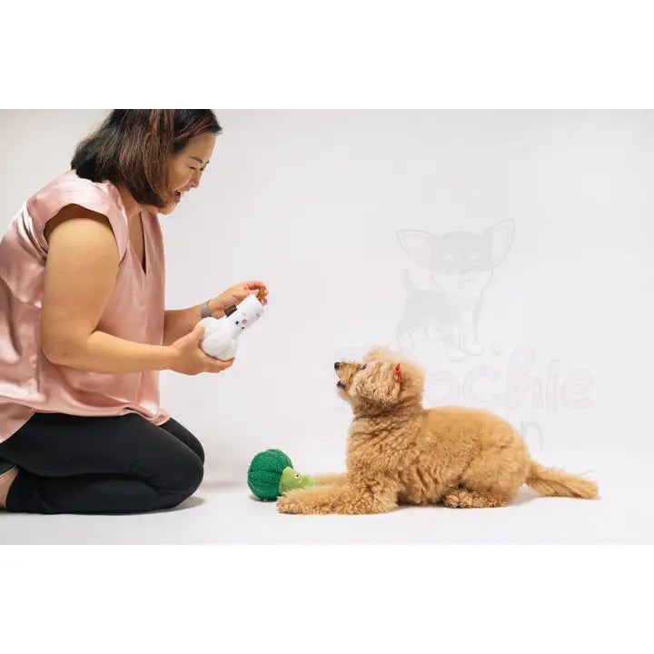 Picked Fresh Veggie Munch Duo Dog Toy by P.l.a.y - P.l.a.y - 4