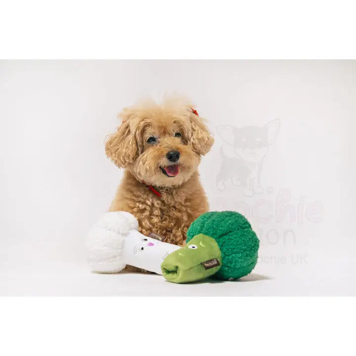 Picked Fresh Veggie Munch Duo Dog Toy by P.l.a.y - P.l.a.y - 3