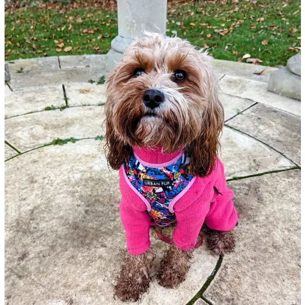Pink Graffiti Designer Dog Harness - Urban Pup - 3