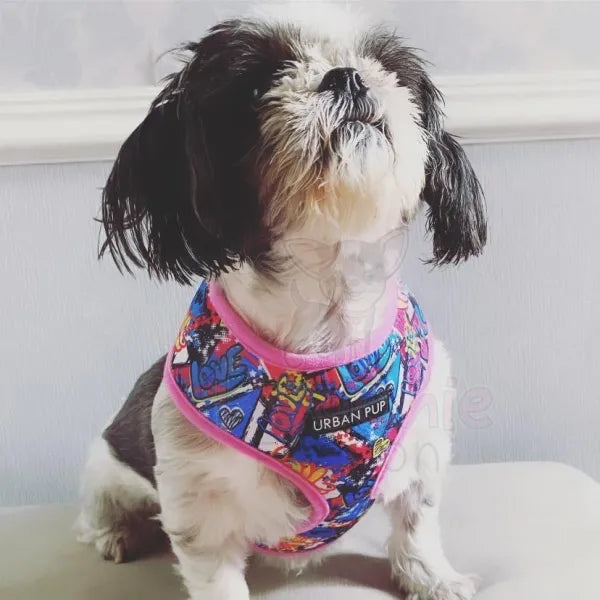 Pink Graffiti Designer Dog Harness - Urban Pup - 2