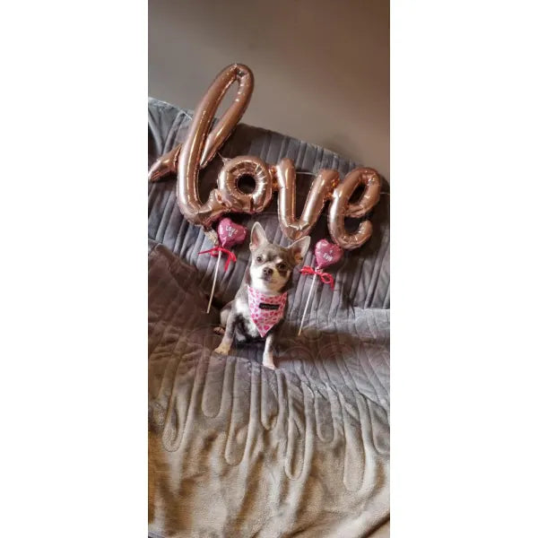Pink Hearts Dog Bandana Collar - Urban Pup - 4