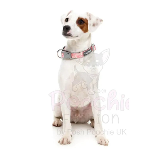 Pink Lemonade Dog Collar by Fuzzyard Fuzzyard 2