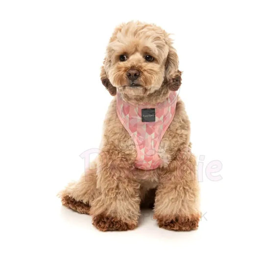 Pink Lemonade Dog Harness by Fuzzyard Fuzzyard 2