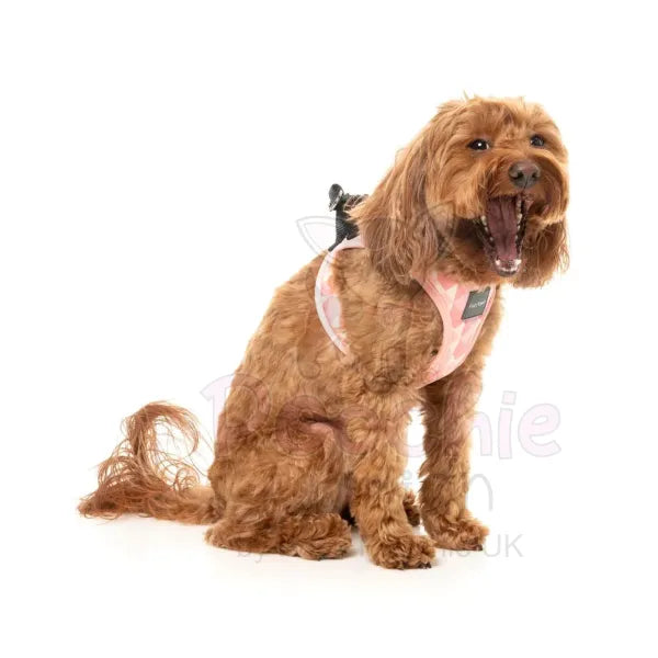 Pink Lemonade Step in Dog Harness by Fuzzyard Fuzzyard 6