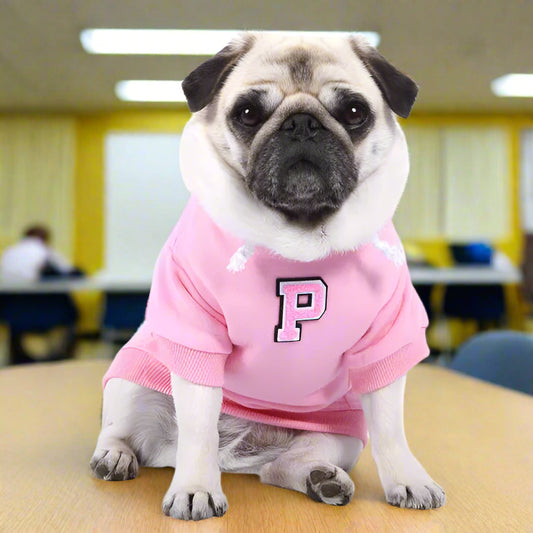 Pink Personalised Embroidered Letter Hoodie - Rich Paw - 1