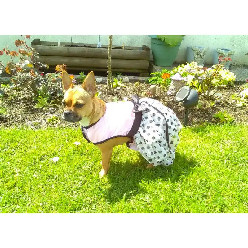 Pink Satin And Hearts Chiffon Dog Harness Dress Set - Urban 2