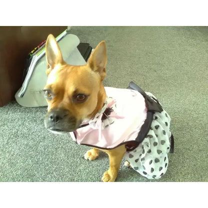 Pink Satin And Hearts Chiffon Dog Harness Dress Set - Urban 5