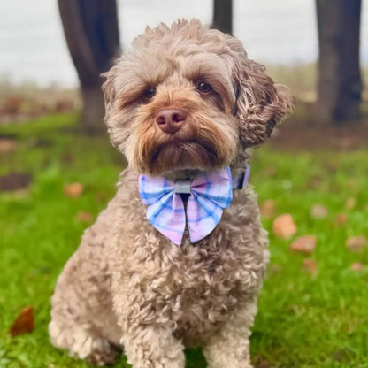 Pink Tartan Dog Sailor Bow - Pupclub Couture - 2
