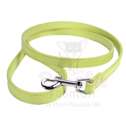 Plain Leather Dog Lead - Urban - 9