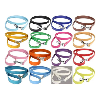 Plain Leather Dog Lead - Urban - 1