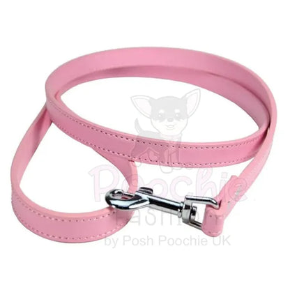 Plain Leather Dog Lead - Urban - 2