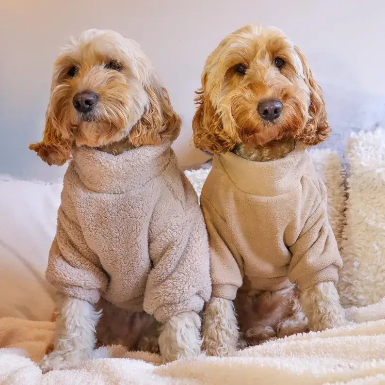 Plush Teddy Fleece Dog Zippy Jacket in Beige - Rich Paw - 6