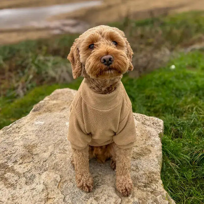 Polar Fleece Dog Zippy Jacket in Beige - Rich Paw - 3