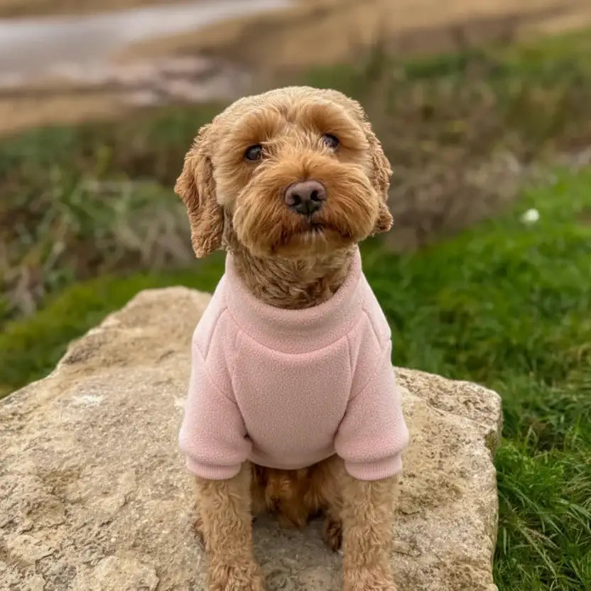 Polar Fleece Dog Zippy Jacket in Pink - Rich Paw - 3