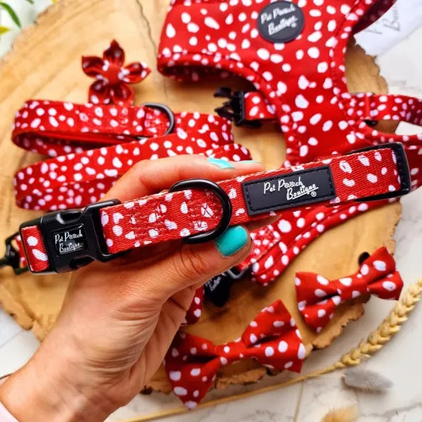 Poppy Toadstool Spots Dog Collar - Pet Pooch - 1